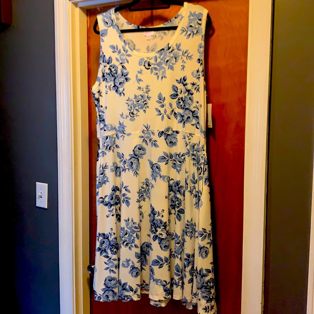 Beautiful blue and white floral tank dress